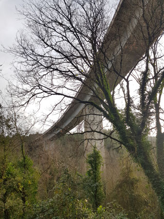 La variant de la N-II al cam&iacute; de la font dels Lleons