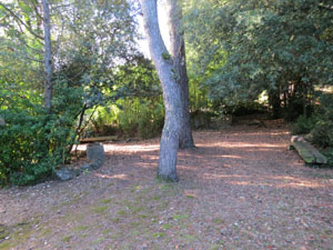 El Jard&iacute; de la Jueva