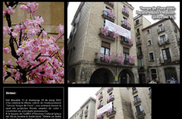 Anar