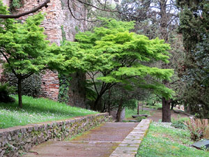 El Passeig Arqueol&ograve;gic. Observacions naturalistes