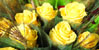 Parades de llibres i de roses