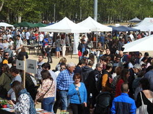 Sant Jordi 2023. Diada de Sant Jordi 2023 a Girona
