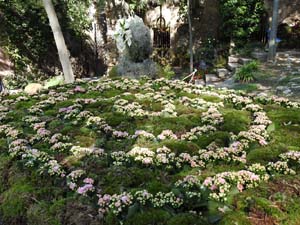 Temps de Flors 2023. Jardins dels Alemanys