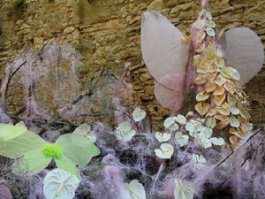 Temps de Flors 2023. Jardins dels Alemanys