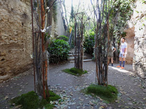 Temps de Flors 2023. Jardins dels Alemanys
