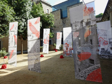 Temps de Flors 2023. Udg - Edifici de les &Agrave;ligues