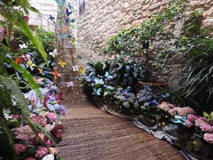 Temps de Flors 2023. Casa Lle&oacute; Avinay