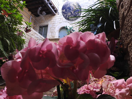 Temps de Flors 2023. Casa Lle&oacute; Avinay