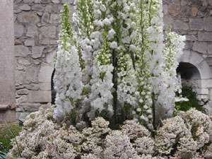 Temps de Flors 2023. Els Banys &Agrave;rabs