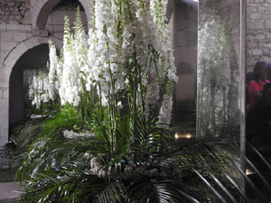 Temps de Flors 2023. Els Banys &Agrave;rabs