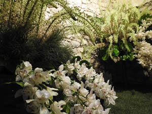 Temps de Flors 2023. Els Banys &Agrave;rabs