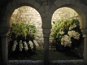 Temps de Flors 2023. Els Banys &Agrave;rabs