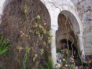 Temps de Flors 2023. Els Banys &Agrave;rabs
