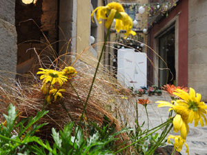 Temps de Flors 2023. Pla&ccedil;a Bell-lloc