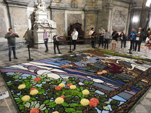 Temps de Flors 2023. Bas&iacute;lica de Sant Feliu - Capella de Sant Narc&iacute;s