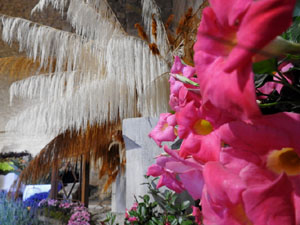 Temps de Flors 2023. Soterranis de la Catedral