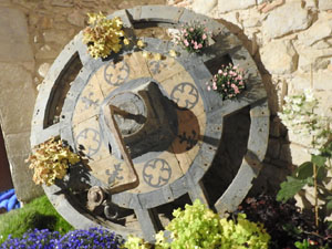 Temps de Flors 2023. Soterranis de la Catedral
