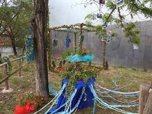 Temps de Flors 2023. Centre C&iacute;vic Ter