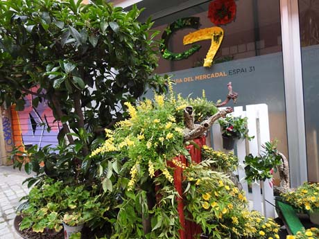 Temps de Flors 2023. Carrer Anselm Clav&eacute;