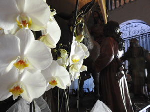 Temps de Flors 2023. Esgl&eacute;sia dels Dolorsl'esdeveniment