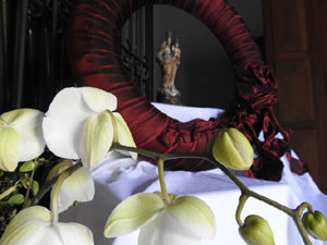 Temps de Flors 2023. Esgl&eacute;sia dels Dolorsl'esdeveniment