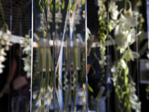 Temps de Flors 2023. Esgl&eacute;sia dels Dolorsl'esdeveniment