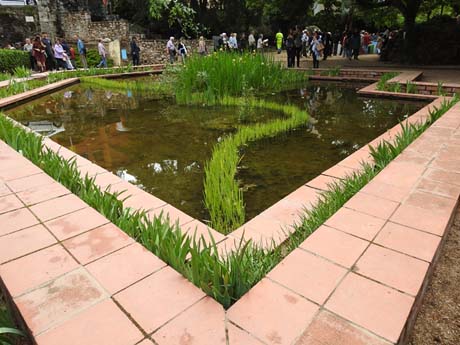 Temps de Flors 2023. Jardins dels doctor Figueras
