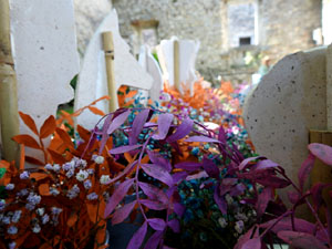 Temps de Flors 2023. Jardins de la Francesal'esdeveniment