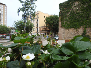 Temps de Flors 2023. Jard&iacute; de la Inf&agrave;ncial'esdeveniment