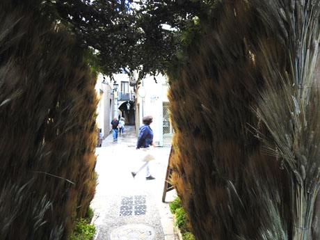 Temps de Flors 2023. Carrer de la Llebre