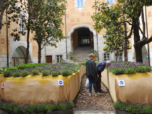 Temps de Flors 2023. Pati de les Magn&ograve;lies