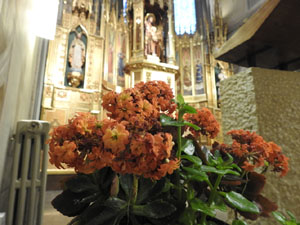 Temps de Flors 2023. Centre geri&agrave;tric Maria Gayl'esdeveniment