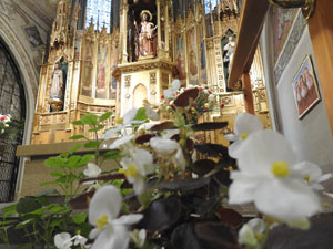 Temps de Flors 2023. Centre geri&agrave;tric Maria Gayl'esdeveniment