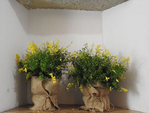 Temps de Flors 2023. Museu d'Hist&ograve;ria de Girona (Assecador)