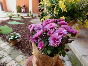 Temps de Flors 2023. Museu d'Hist&ograve;ria de Girona (Claustre)
