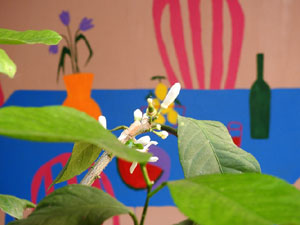 Temps de Flors 2023. Centre Cultural La Merc&egrave;l'esdeveniment