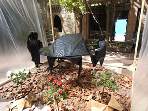 Temps de Flors 2023. Museu d'Hist&ograve;ria dels Jueus