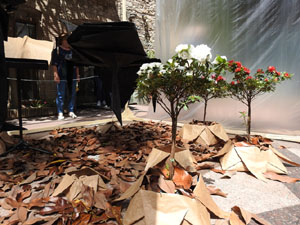 Temps de Flors 2023. Museu d'Hist&ograve;ria dels Jueus