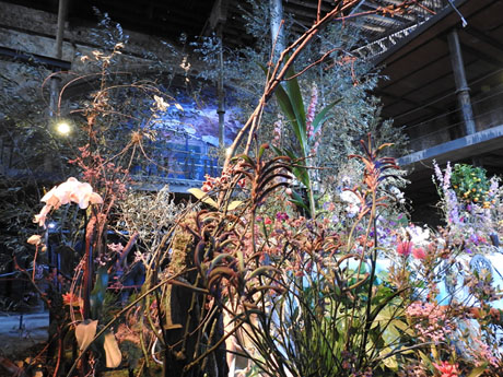 Temps de Flors 2023. Antiga Sala de Ball Odeon