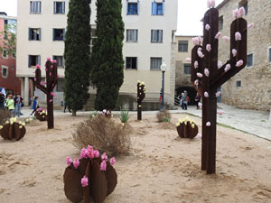 Temps de Flors 2023. Pla&ccedil;a de Sant Feliu