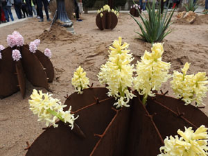 Temps de Flors 2023. Pla&ccedil;a de Sant Feliu