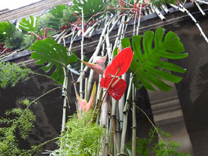 Temps de Flors 2023. Pla&ccedil;a del Vil'esdeveniment