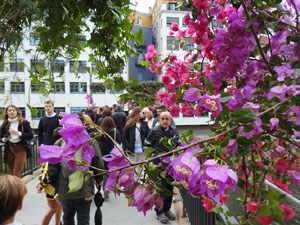 Temps de Flors 2023. Pont de Sant Agust&iacute;l'esdeveniment