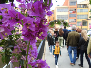 Temps de Flors 2023. Pont de Sant Agust&iacute;l'esdeveniment