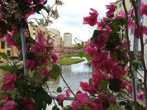Temps de Flors 2023. Pont de Sant Agust&iacute;l'esdeveniment