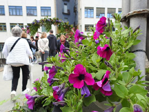Temps de Flors 2023. Pont de Sant Agust&iacute;l'esdeveniment