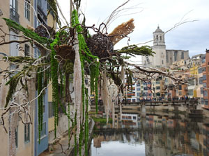 Temps de Flors 2023. Pont de les Peixateries Vellesl'esdeveniment
