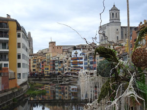 Temps de Flors 2023. Pont de les Peixateries Vellesl'esdeveniment