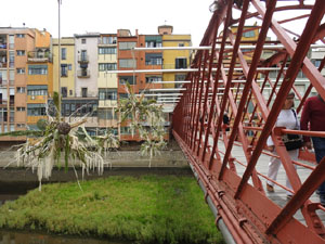 Temps de Flors 2023. Pont de les Peixateries Vellesl'esdeveniment