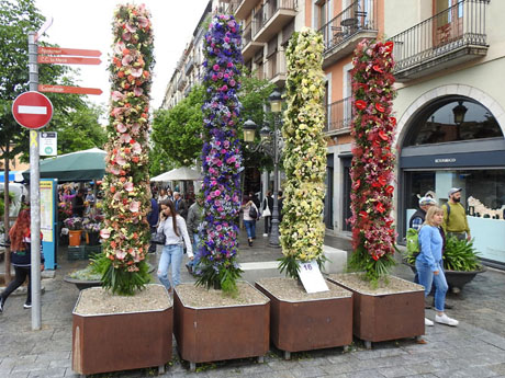 Temps de Flors 2023. Inici de la Rambla de la Llibertat